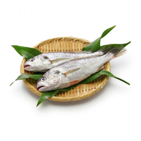 Croaker fish martking online grocery shop lagos — Online Grocery Store Lagos | Fresh Foods | Beauty | Home Accessories