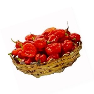 Rodo Pepper Red Small Basket