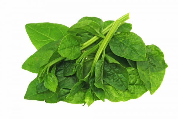 fresh waterleaf ceylon spinach martking online groceries lagos — Online Grocery Store Lagos | Fresh Foods | Beauty | Home Accessories