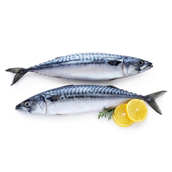 mackerel titus fish martking lagos grocery store — Online Grocery Store Lagos | Fresh Foods | Beauty | Home Accessories