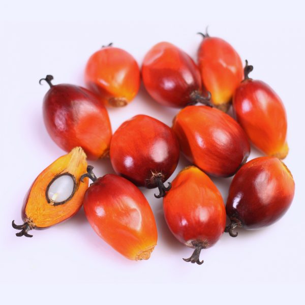 palm kernel martking.ng online grocery shop lagos — Online Grocery Store Lagos | Fresh Foods | Beauty | Home Accessories