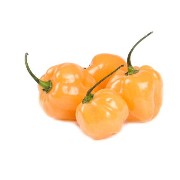 rodo pepper yellow martking.ng online grocery store lagos — Online Grocery Store Lagos | Fresh Foods | Beauty | Home Accessories