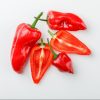 Shombo Pepper x10 - Image 2