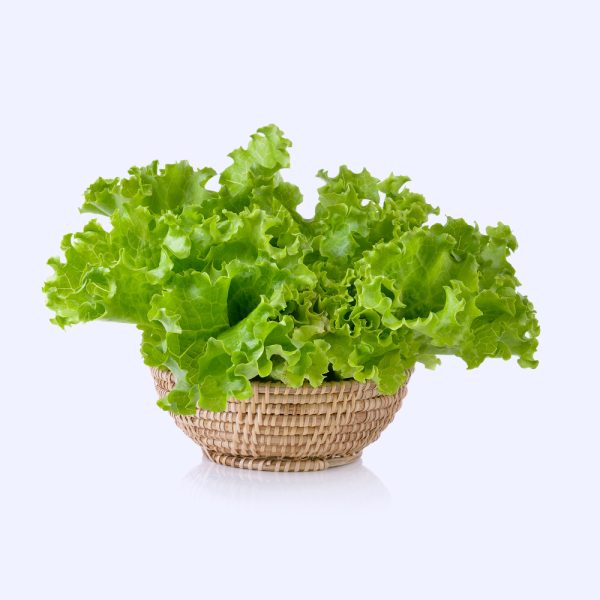 lettuce-basket-martking.ng-online-grocery-shop-lagos