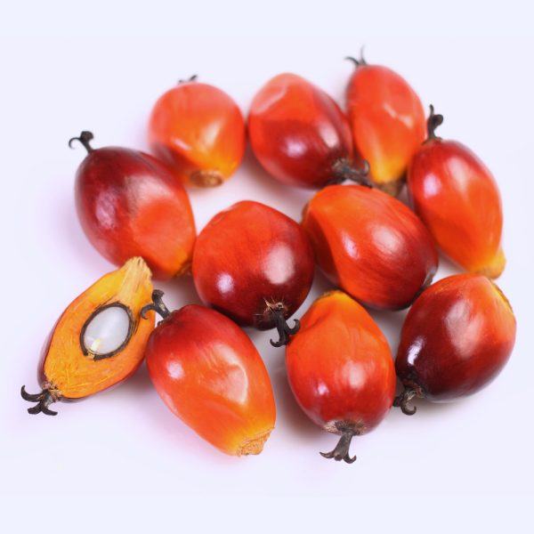 palm-kernel-martking.ng-online-grocery-shop-lagos